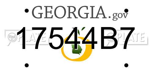 17544B7 Georgia License Plate