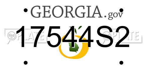 17544S2 Georgia License Plate