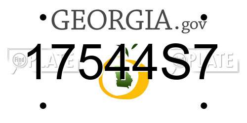 17544S7 Georgia License Plate
