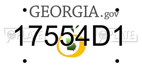 17554D1 Georgia License Plate