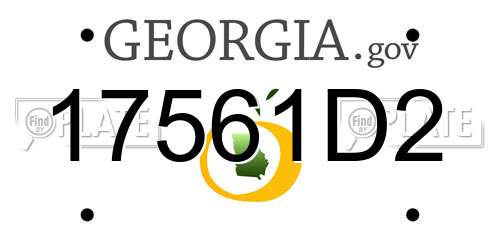 17561D2 Georgia License Plate