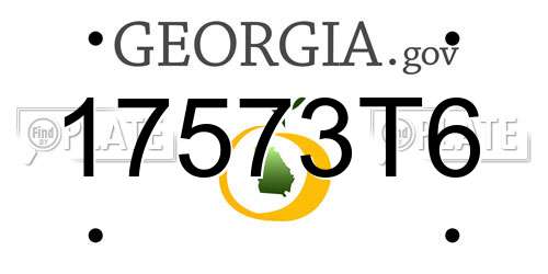 17573T6 Georgia License Plate