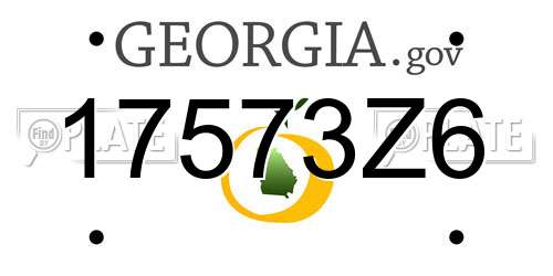 17573Z6 Georgia License Plate