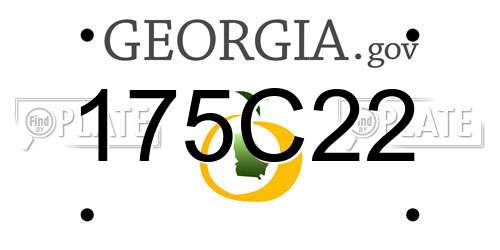 175C22 Georgia License Plate