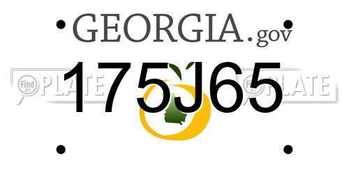 175J65 Georgia License Plate