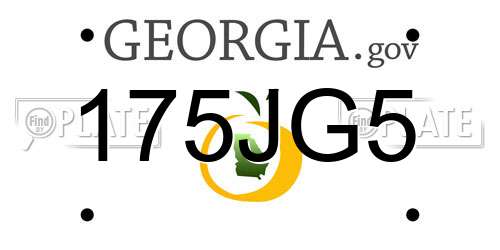 175JG5 Georgia License Plate