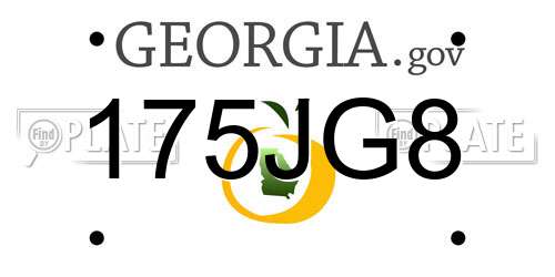 175JG8 Georgia License Plate