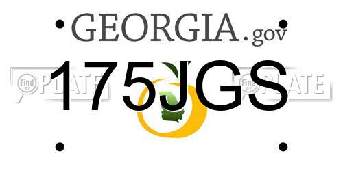 175JGS Georgia License Plate