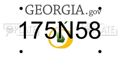 175N58 Georgia License Plate