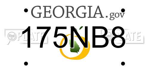 175NB8 Georgia License Plate