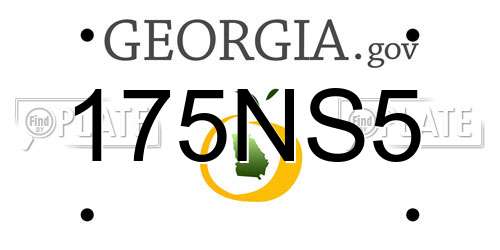 175NS5 Georgia License Plate