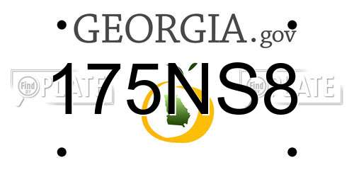 175NS8 Georgia License Plate