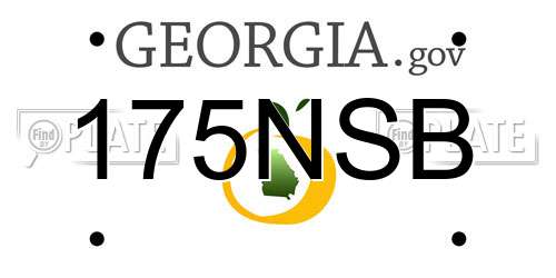 175NSB Georgia License Plate