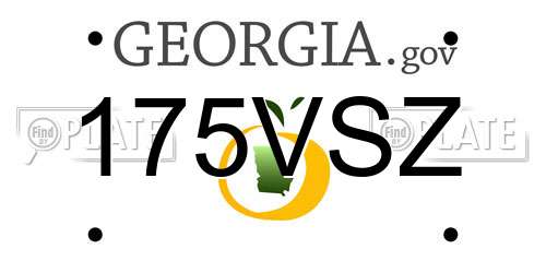 175VSZ Georgia License Plate