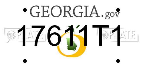 17611T1 Georgia License Plate