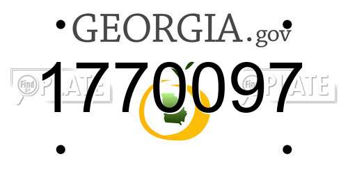 1770097 Georgia License Plate