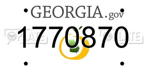 1770870 Georgia License Plate