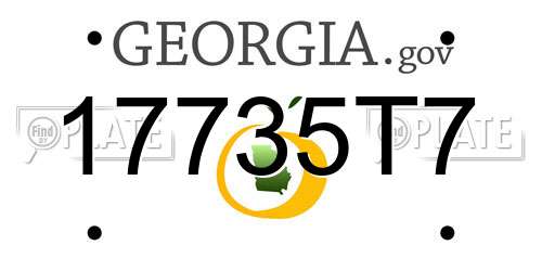 17735T7 Georgia License Plate