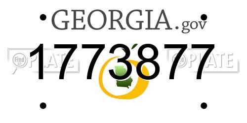 1773877 Georgia License Plate