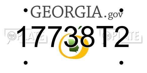 17738T2 Georgia License Plate