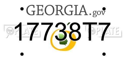 17738T7 Georgia License Plate