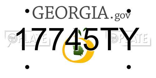 17745TY Georgia License Plate