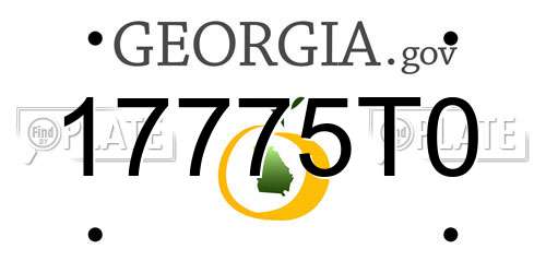 17775T0 Georgia License Plate