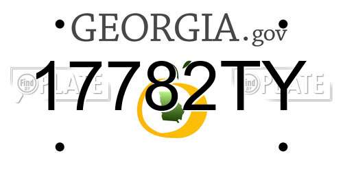 17782TY Georgia License Plate