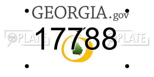 17788 Georgia License Plate