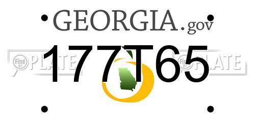 177T65 Georgia License Plate
