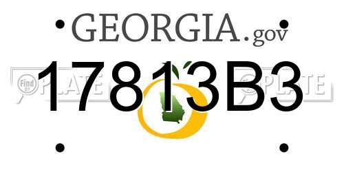 17813B3 Georgia License Plate