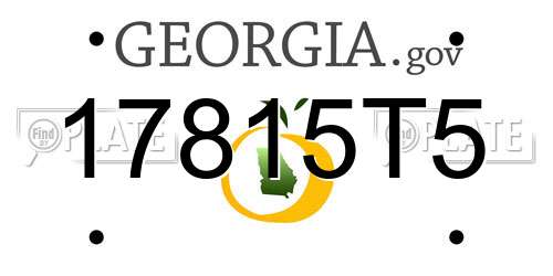 17815T5 Georgia License Plate