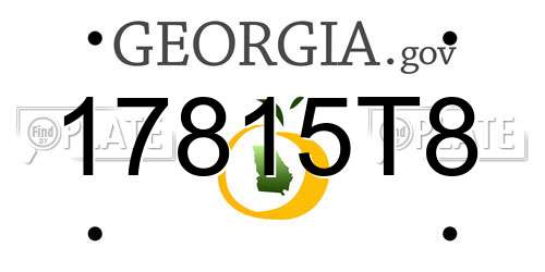 17815T8 Georgia License Plate