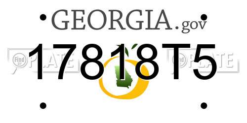 17818T5 Georgia License Plate