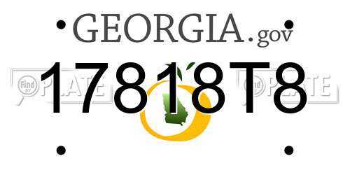 17818T8 Georgia License Plate