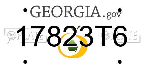 17823T6 Georgia License Plate