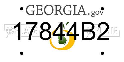 17844B2 Georgia License Plate