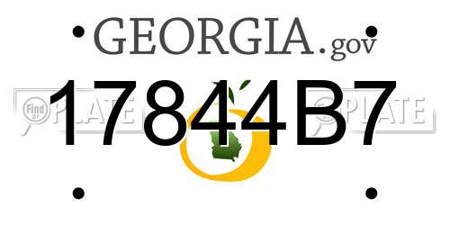 17844B7 Georgia License Plate