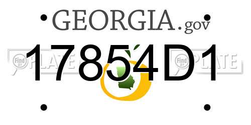 17854D1 Georgia License Plate