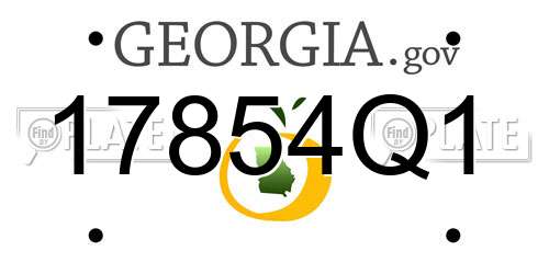 17854Q1 Georgia License Plate
