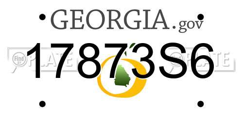 17873S6 Georgia License Plate