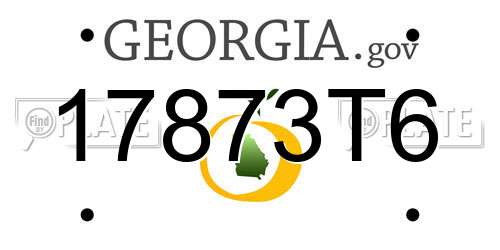 17873T6 Georgia License Plate