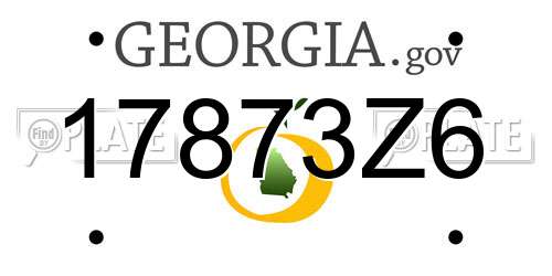 17873Z6 Georgia License Plate