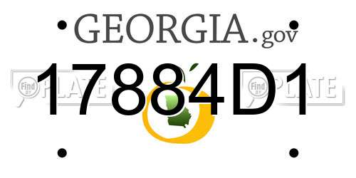 17884D1 Georgia License Plate