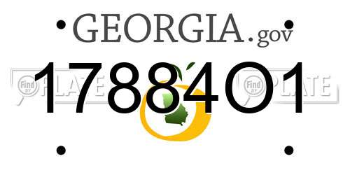 17884O1 Georgia License Plate