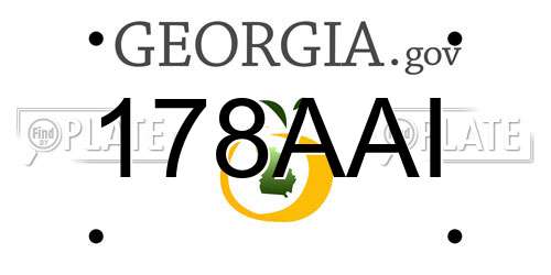 178AAI Georgia License Plate
