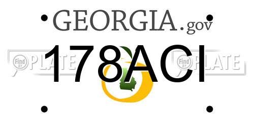 178ACI Georgia License Plate