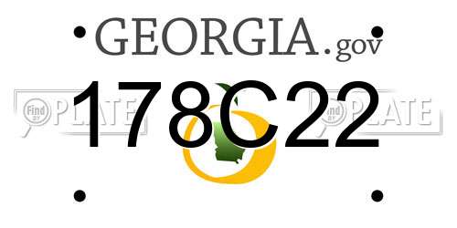 178C22 Georgia License Plate