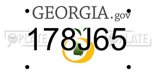 178J65 Georgia License Plate