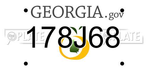 178J68 Georgia License Plate